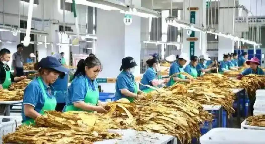 加拿大公开赛第三轮苏贝尔领跑