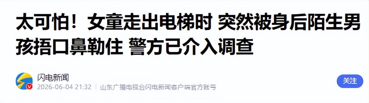 旧将：米兰现在没总监没主帅，伊布却还在解说世界杯