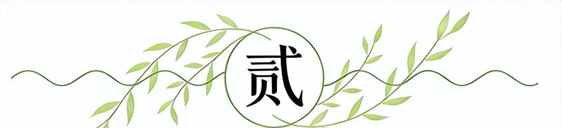 Scotto：奥兰多魔术与马拉基